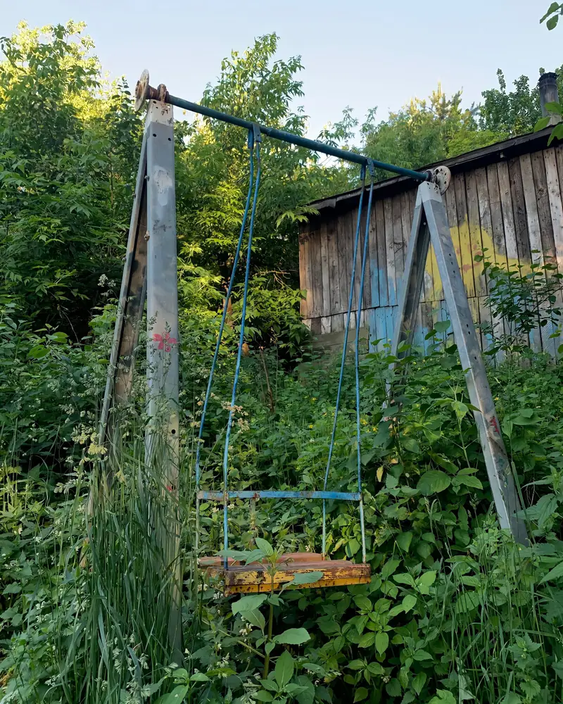 An overgrown back garden, with brambles and tall weeds round an old swing